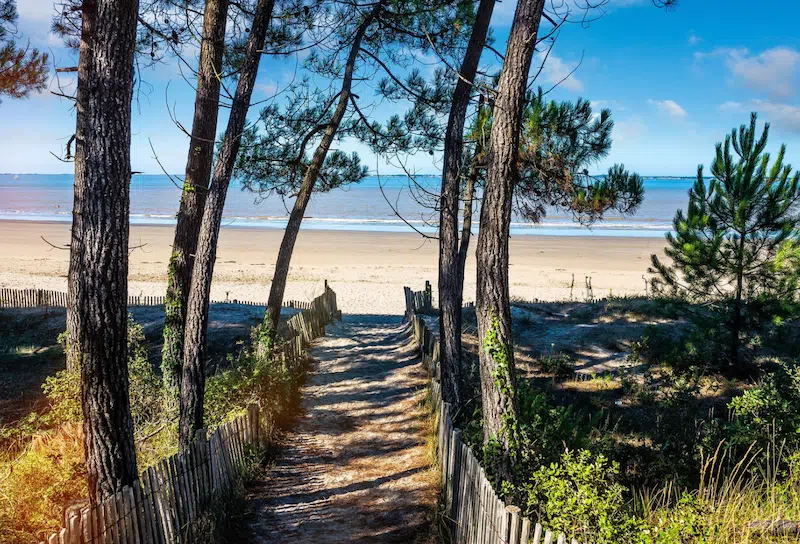 Path to the beach