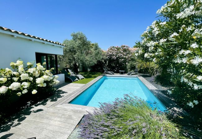 View of the pool and the garden of the Domaine Rose Trémière