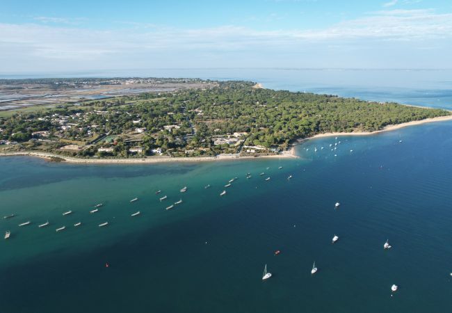 Aerial view of the island of Ré
