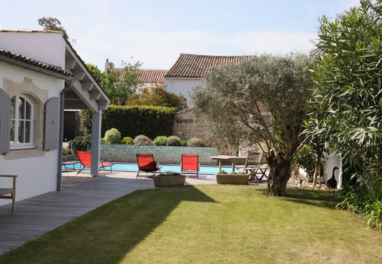 View on garden with olive tree and swimming pool 