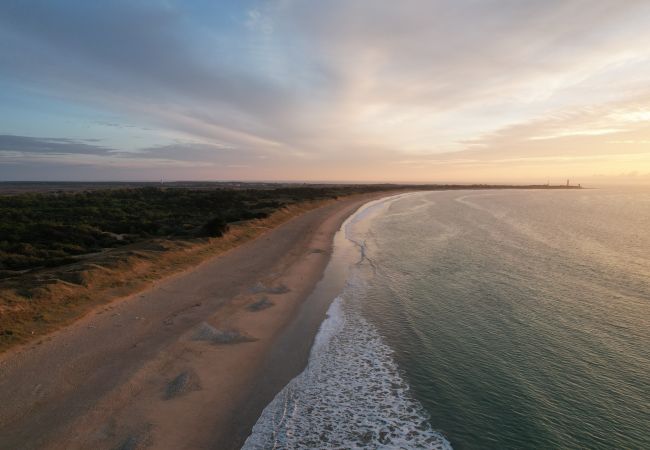 Aerial view of sandy beach at sunset