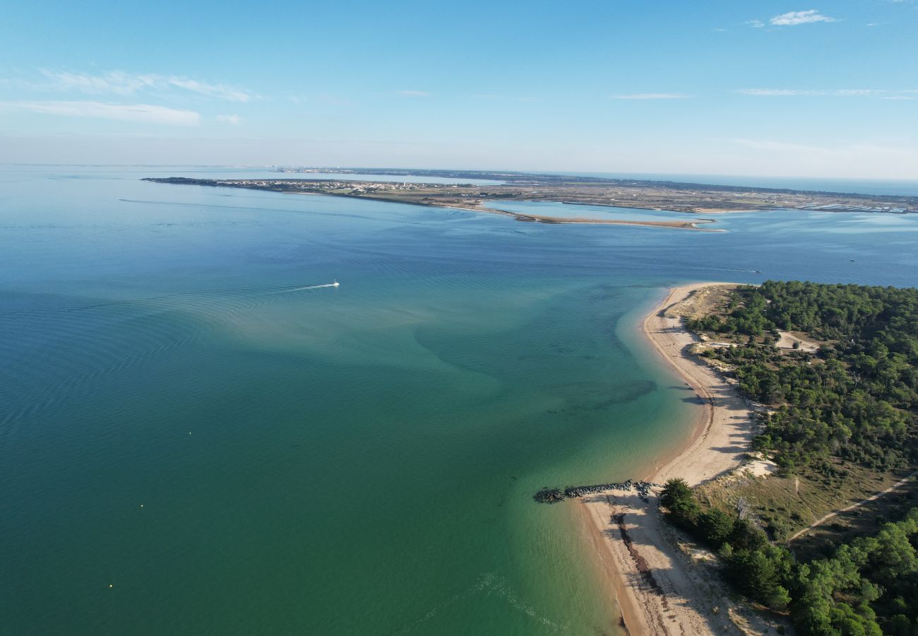 Aerial view of a sandy beach on the Ile de Ré