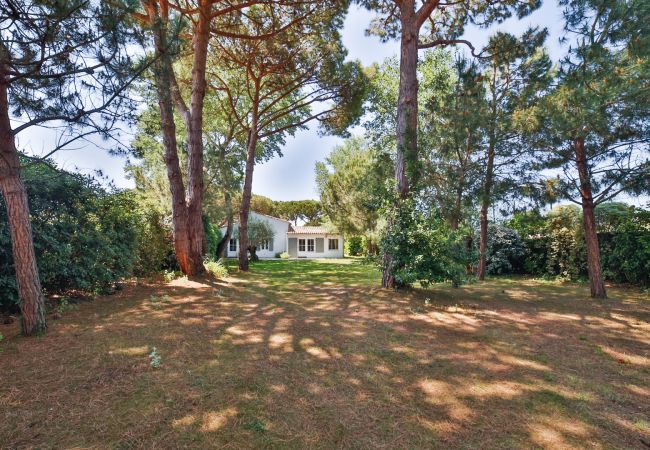 Villa in Les Portes-en-Ré - Villa du Saunier Villa in Les Portes-en-Ré - Villa du Saunier