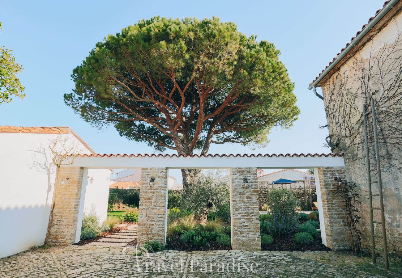 Villa in La Couarde sur mer - Villa Pinéa