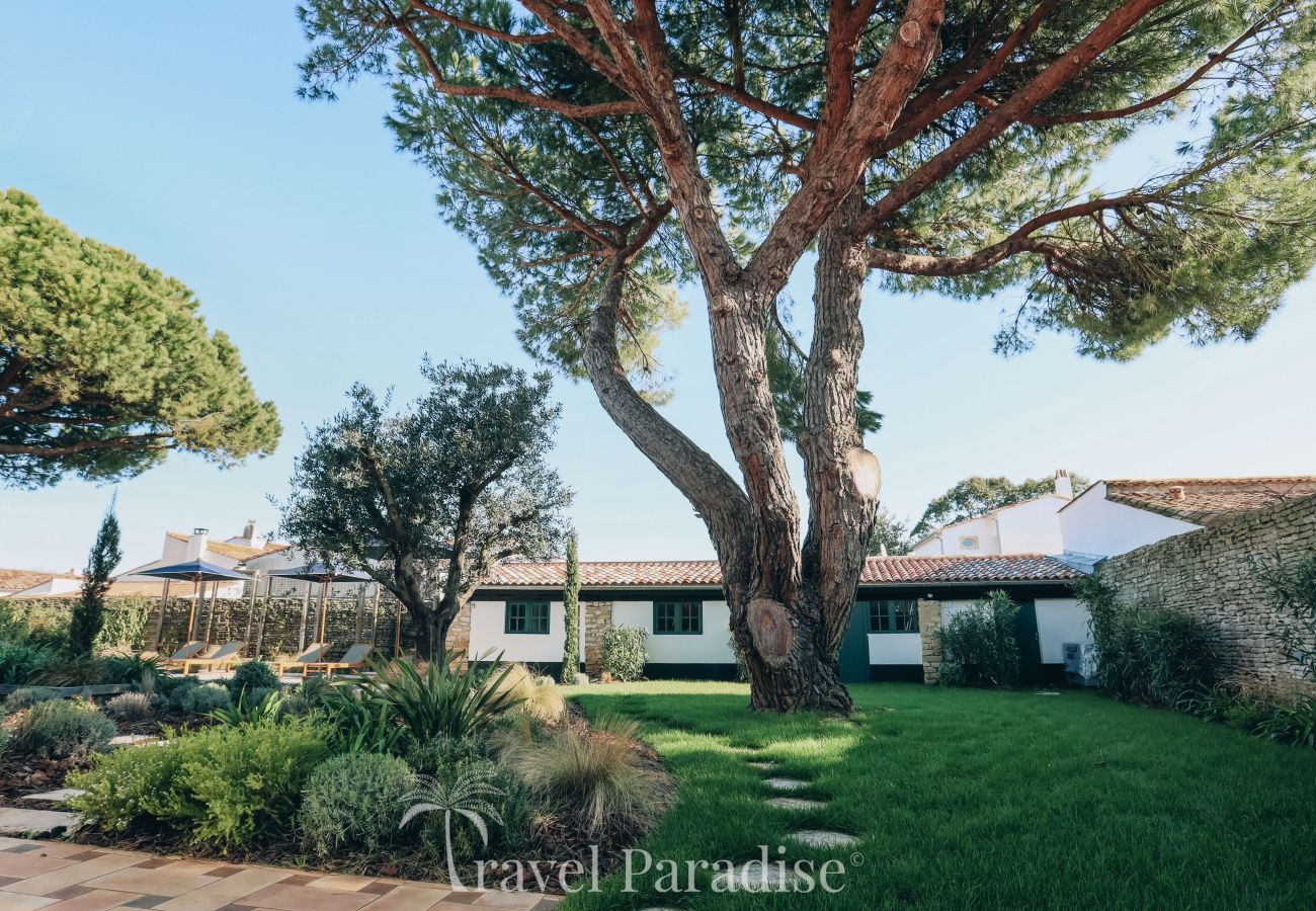 Villa in La Couarde sur mer - Villa Pinéa