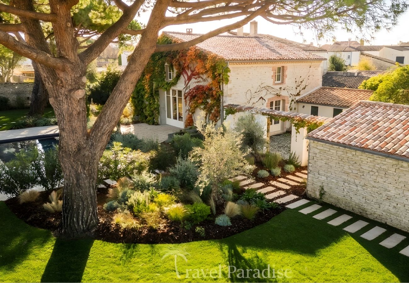 Villa in La Couarde sur mer - Villa Pinéa