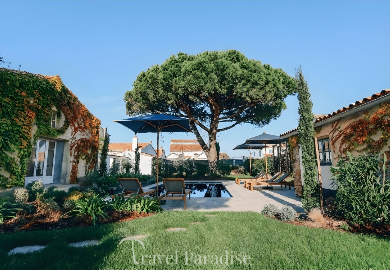 Villa in La Couarde sur mer - Villa Pinéa