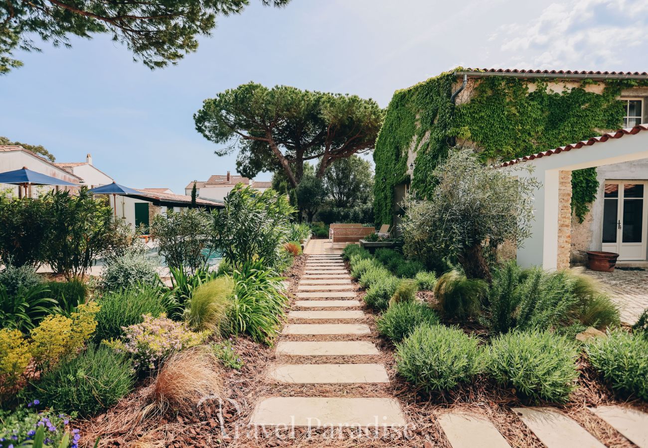 Villa in La Couarde sur mer - Casa Pinea