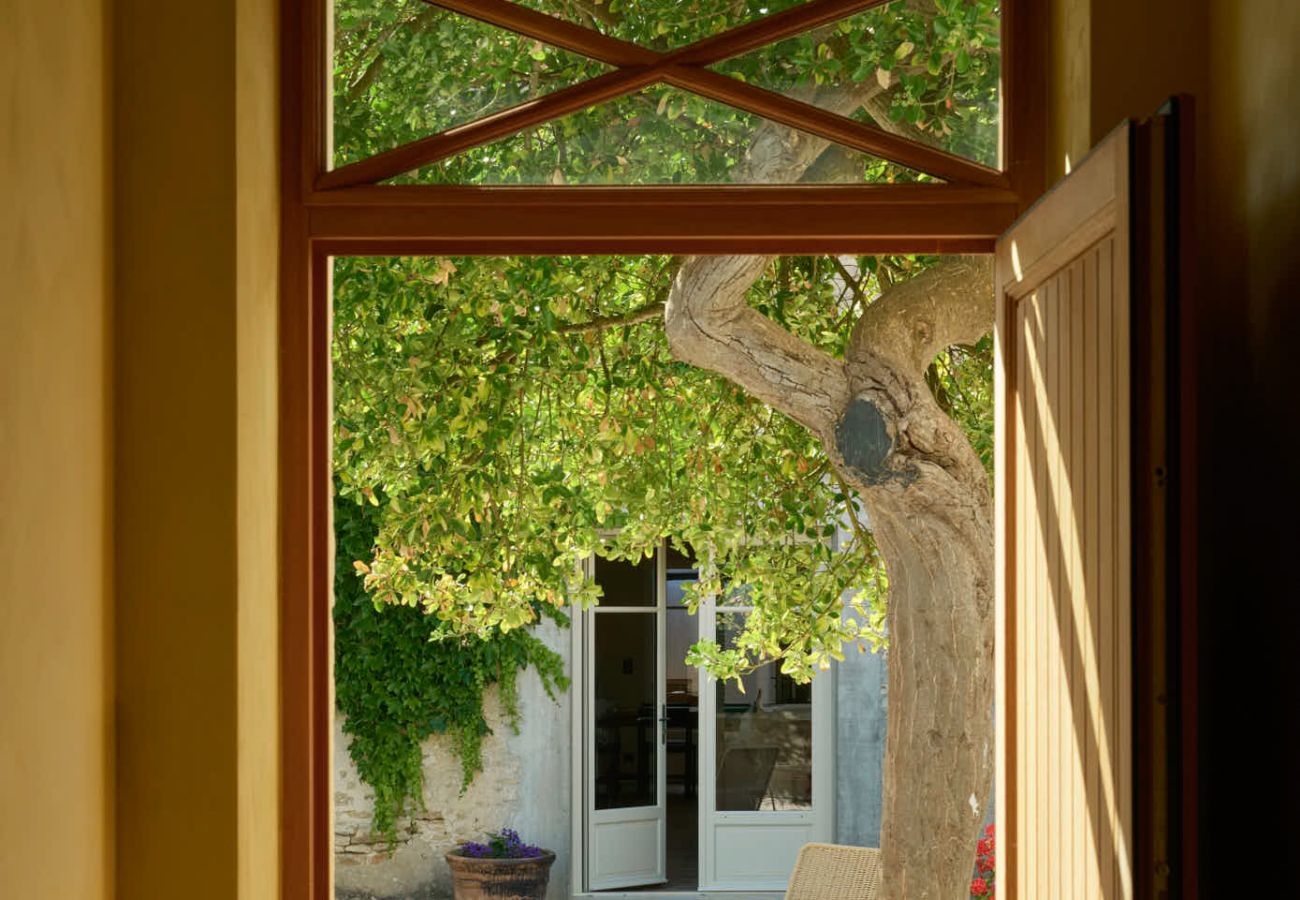 Villa in La Couarde sur mer - Casa Pinea