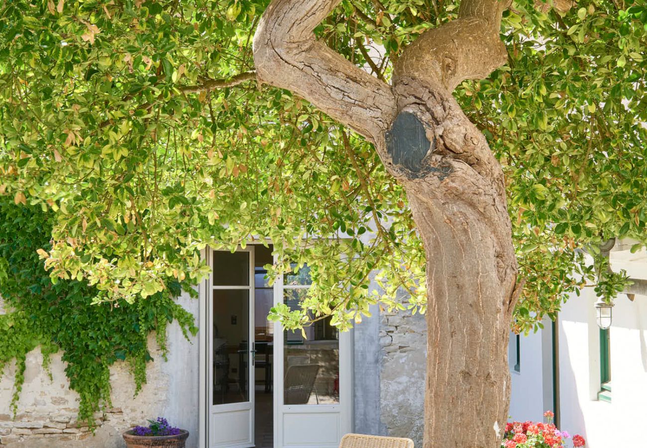 Villa in La Couarde sur mer - Casa Pinea