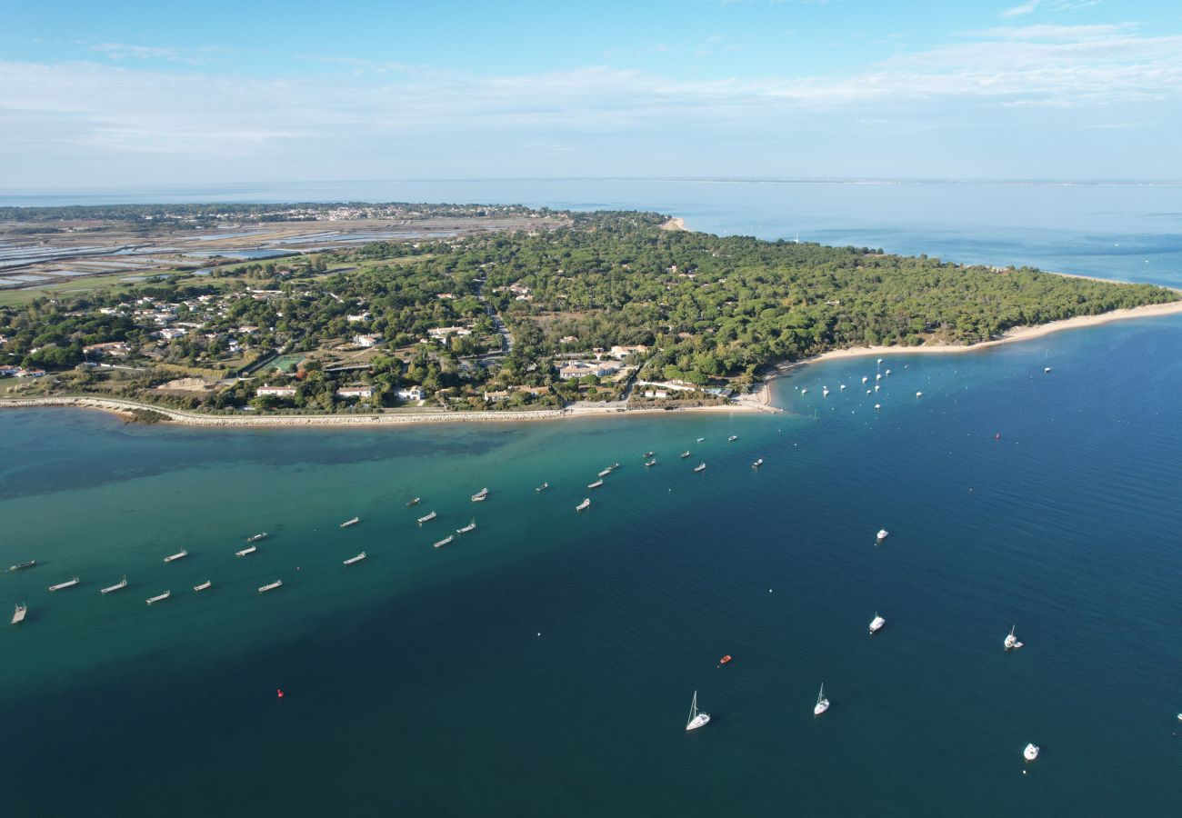 Vue aérienne de l'ïle de Ré