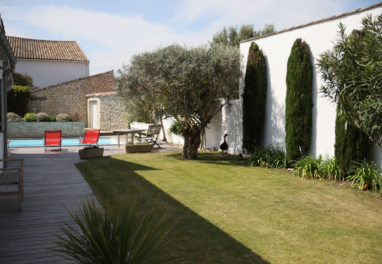 Vue sur le jardin et la piscine avec un arbres olivier et cyprès 