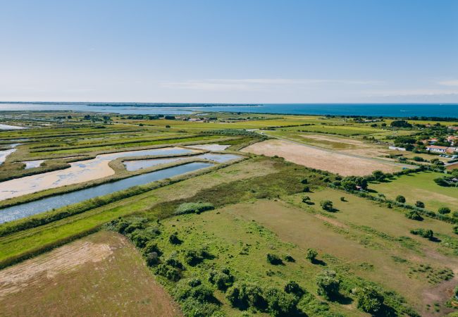 Villa à Loix - Domaine des Tours Villa à Loix - Domaine des Tours