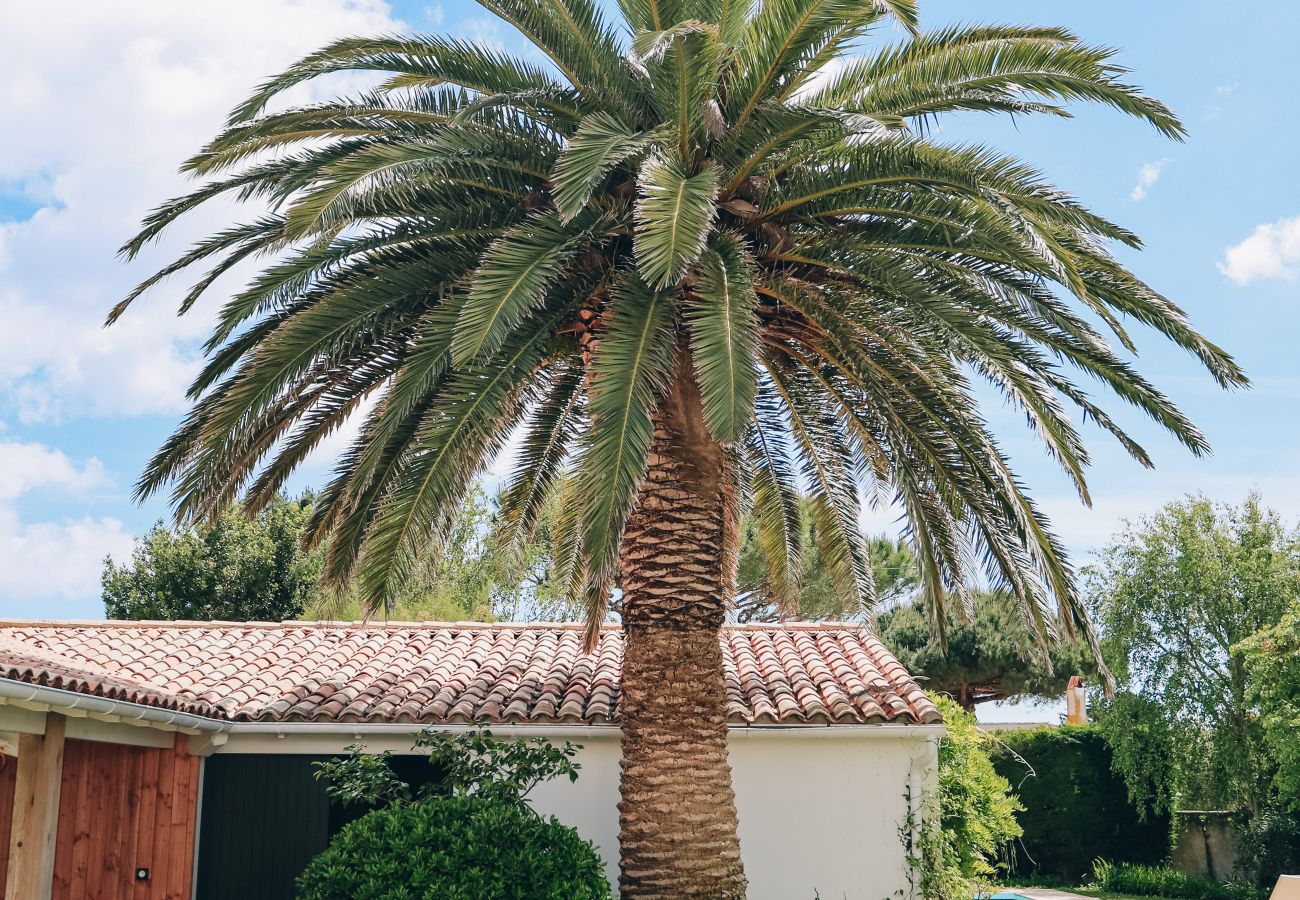Villa à La Couarde sur mer - Villa Phoenix