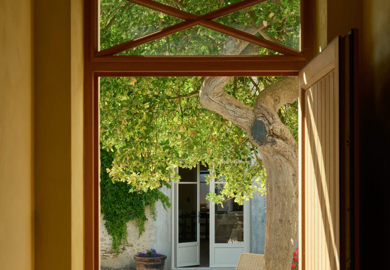 Villa à La Couarde sur mer - Casa Pinea
